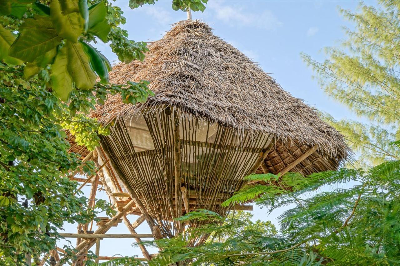 Lodge Afya Village At The Sea Michamvi Kae