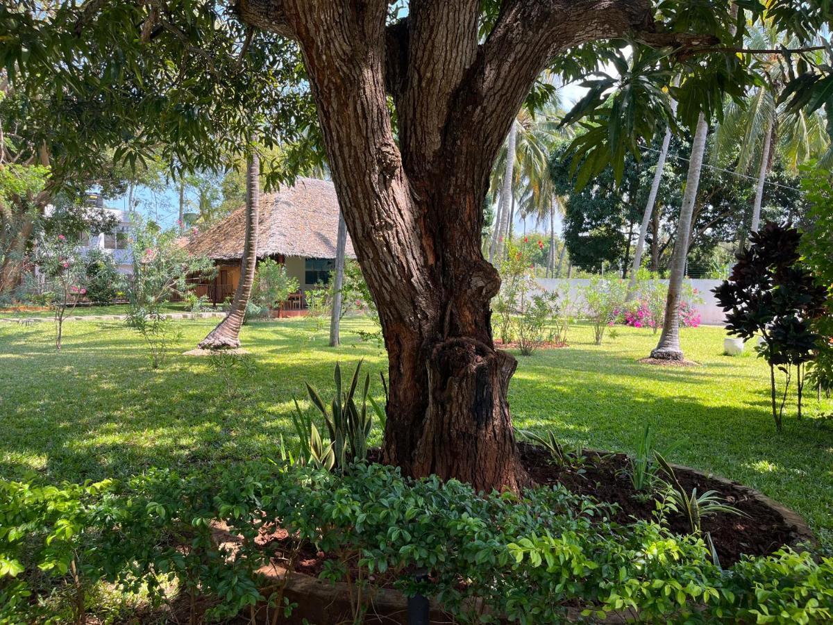 Resort Calamari Zanzibar