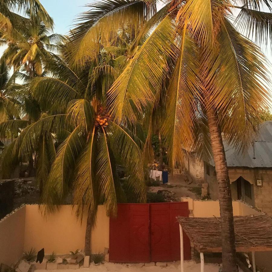 Freshi * Jambiani (Zanzibar)