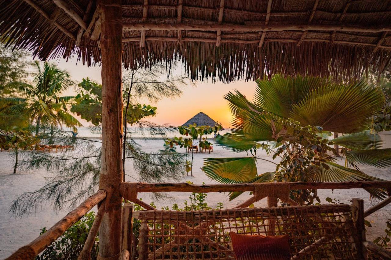 Joy Of Zanzibar