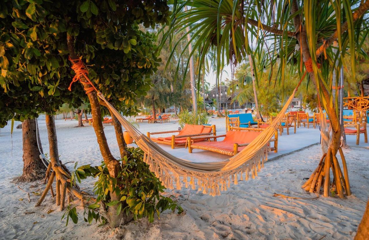 Joy Of Zanzibar