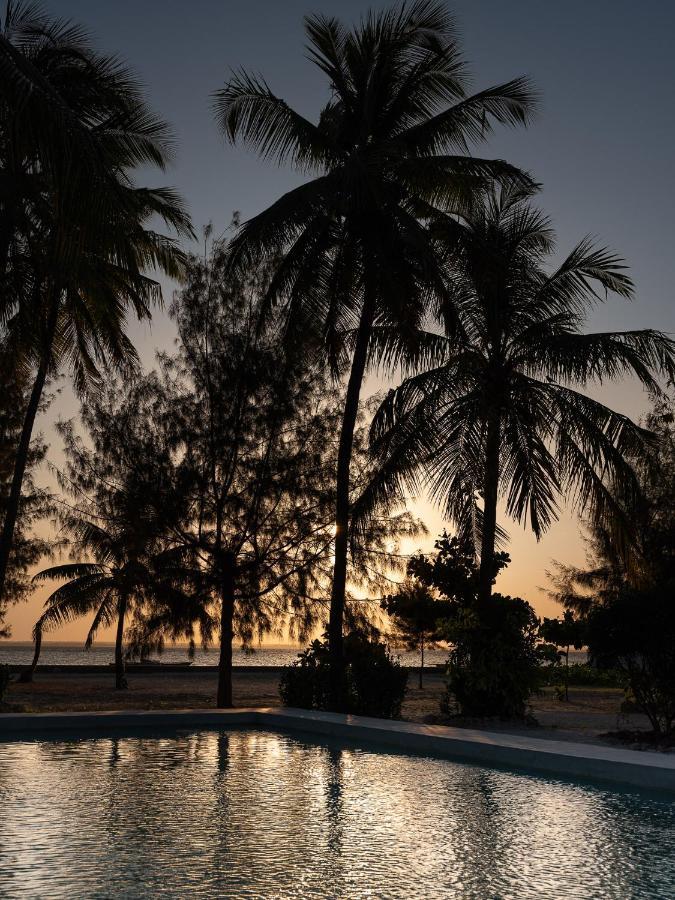 Joy Of Zanzibar