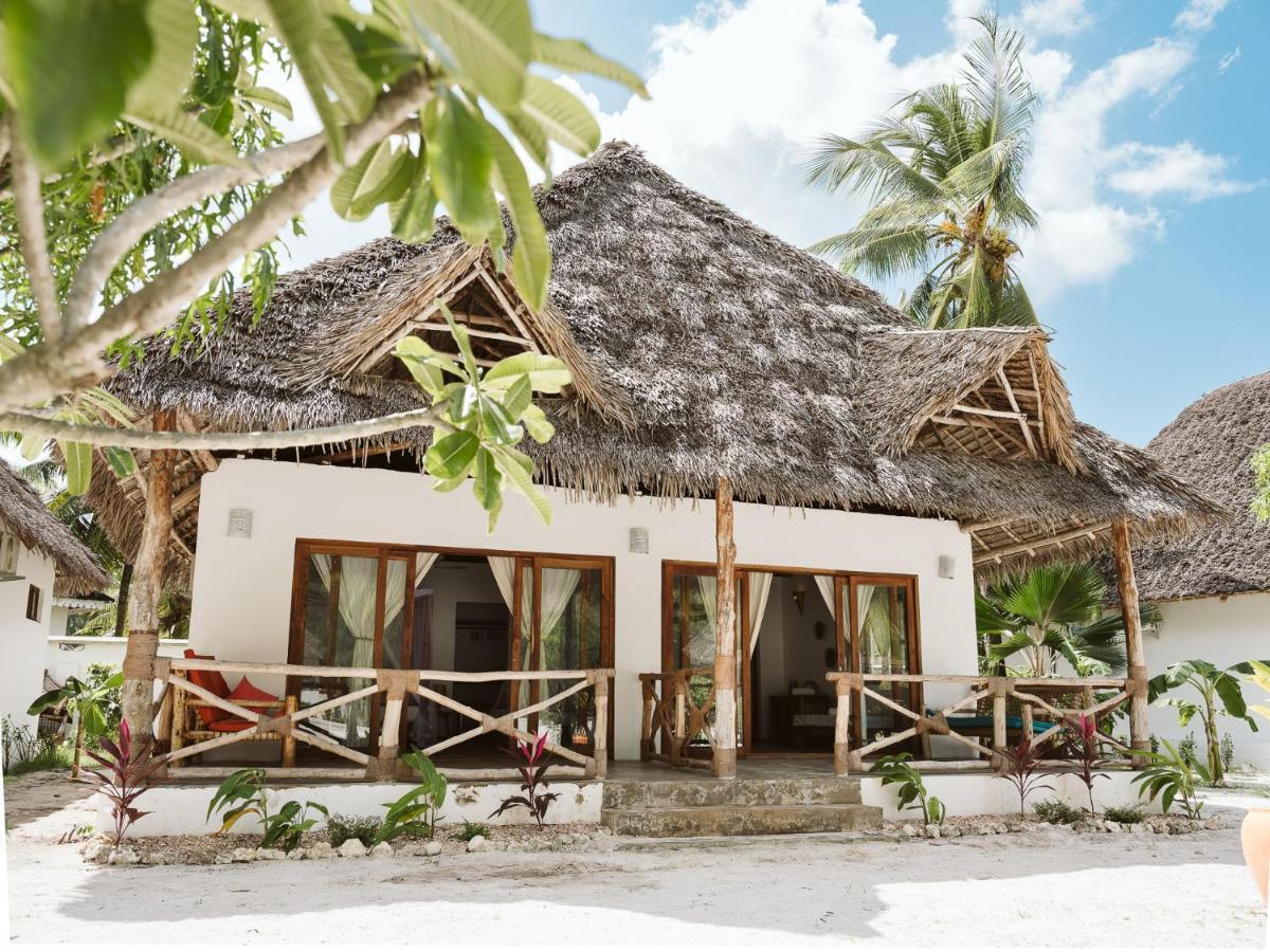 Joy Of Zanzibar *