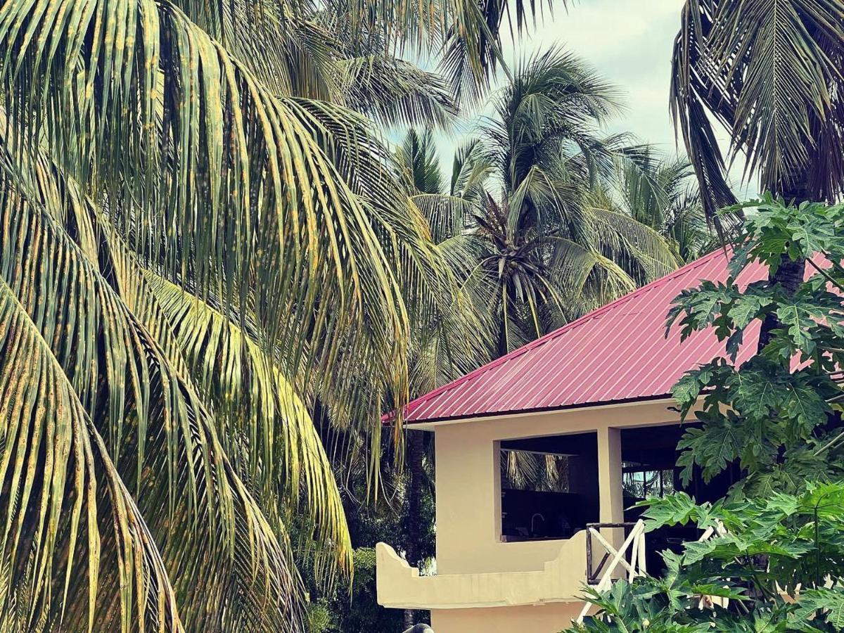 Freshi Jambiani (Zanzibar)