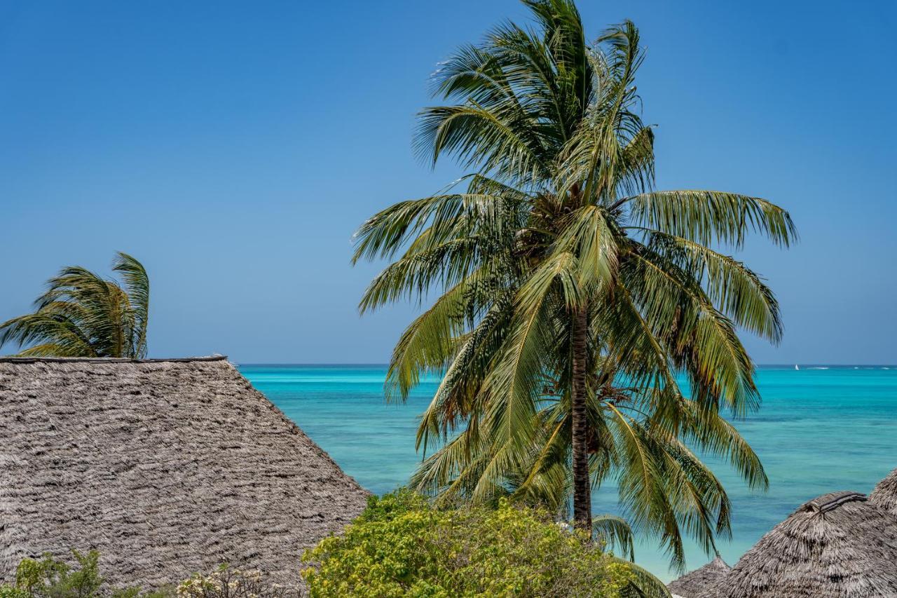 Bed & Breakfast The New Blue Waves Jambiani (Zanzibar)