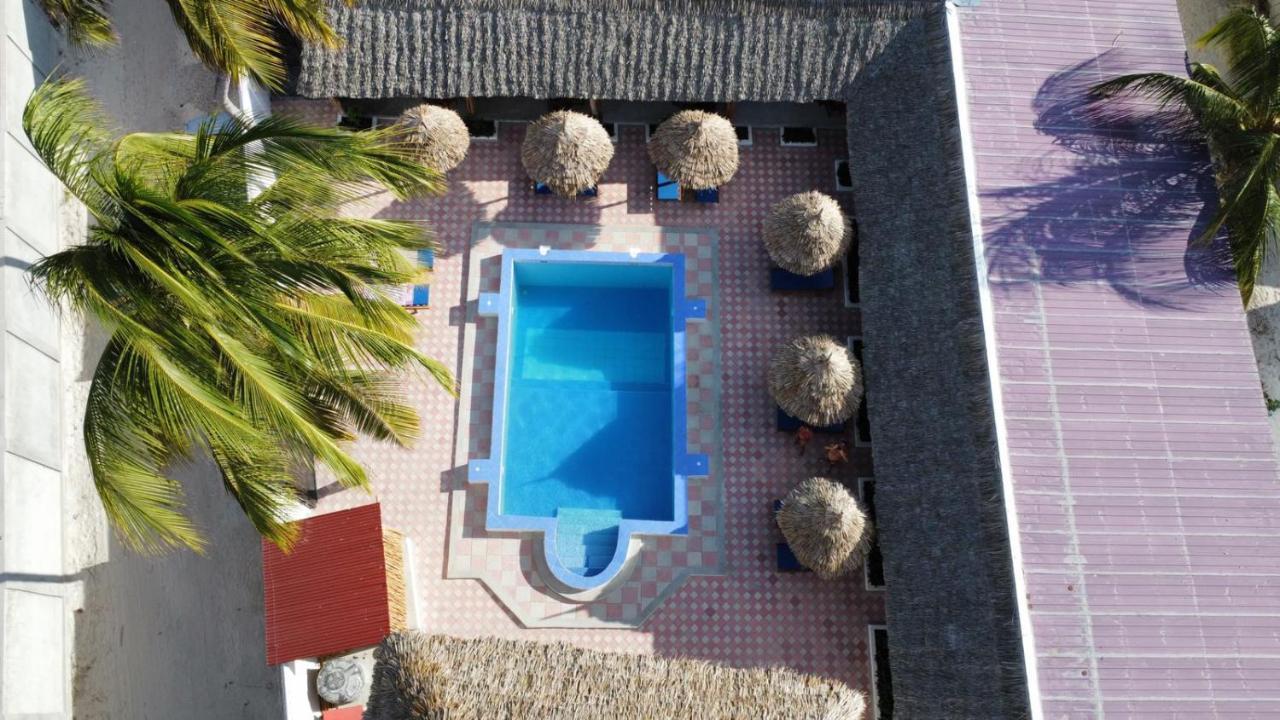 Hotel Amani