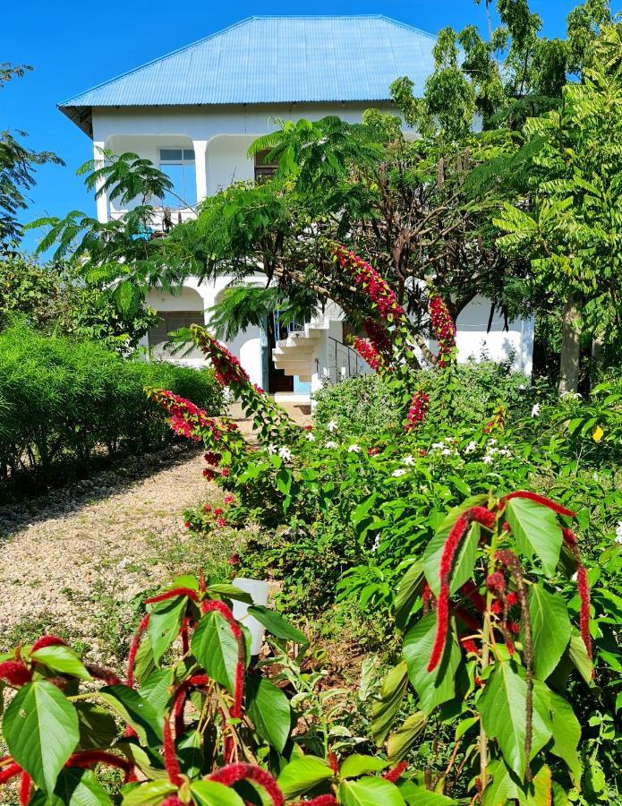 Frangipani House Zanzibar Homestay *