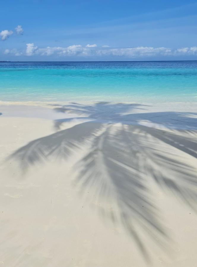 Frangipani House Zanzibar
