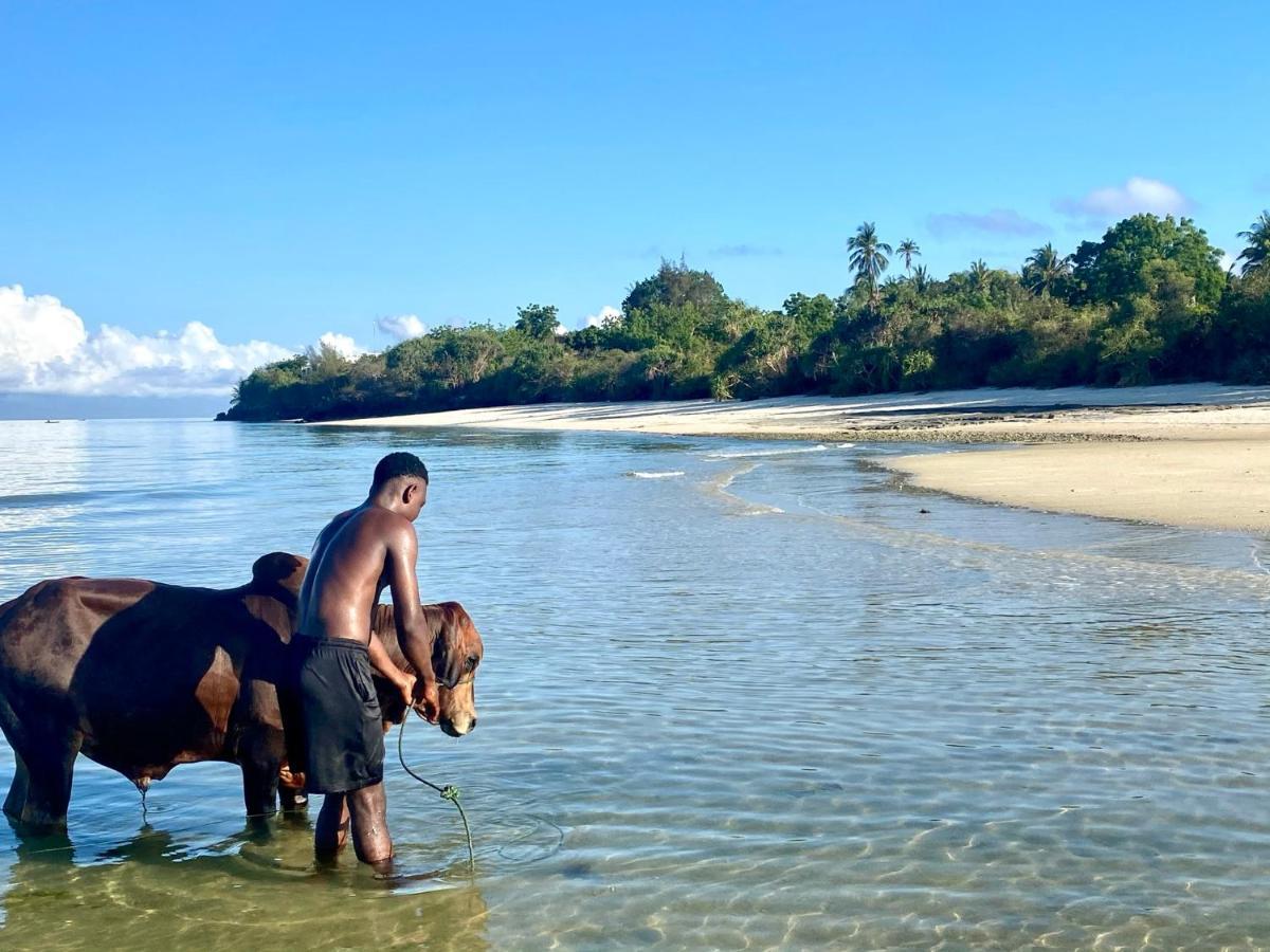 Lodge Kingstone Zanzibar