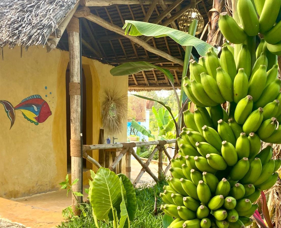 Lodge Kingstone Zanzibar Bet-el-Mali