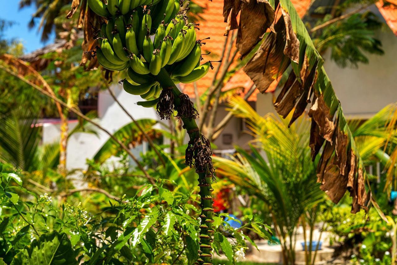 Hotel Heart Of Zanzibar Paje