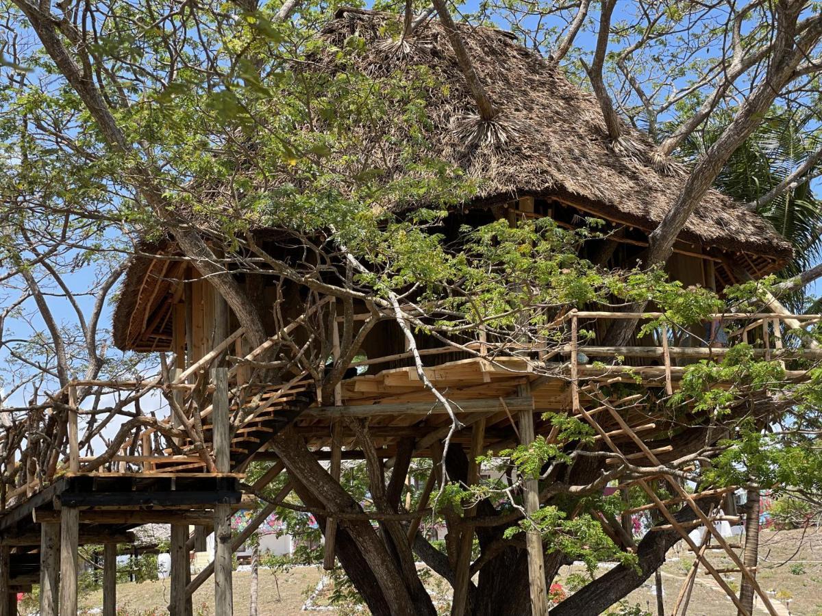 Antonio Tree House & Hotel