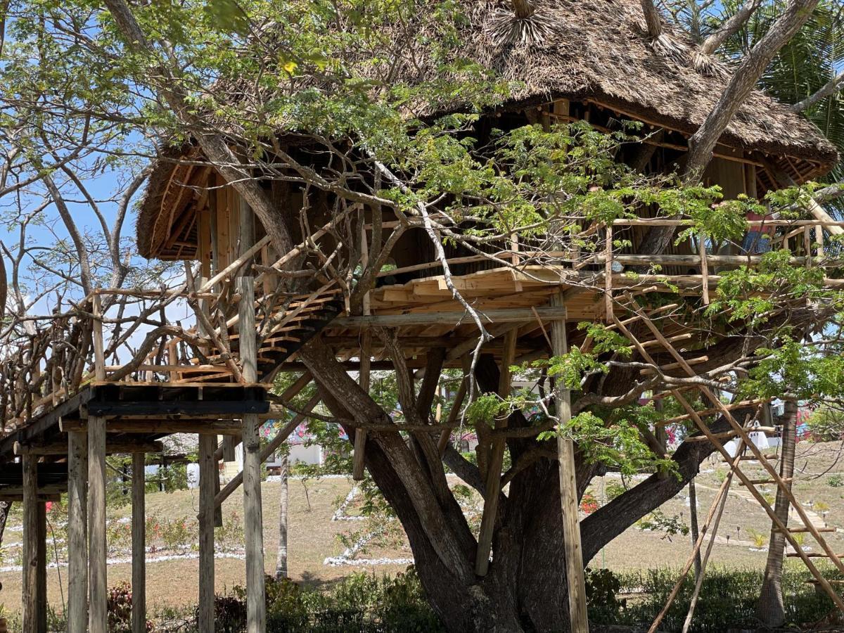 Antonio Tree House & Hotel