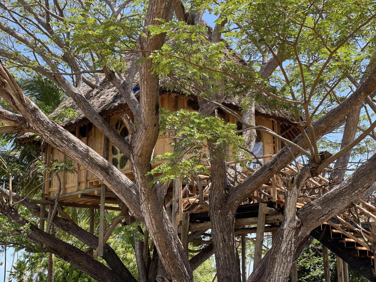 Hotel Antonio Tree House & 4*