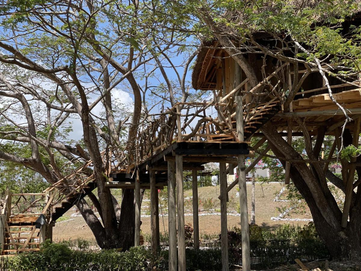 Hotel Antonio Tree House & 4*