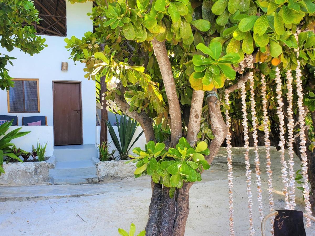Bed & Breakfast Blue Palm Zanzibar