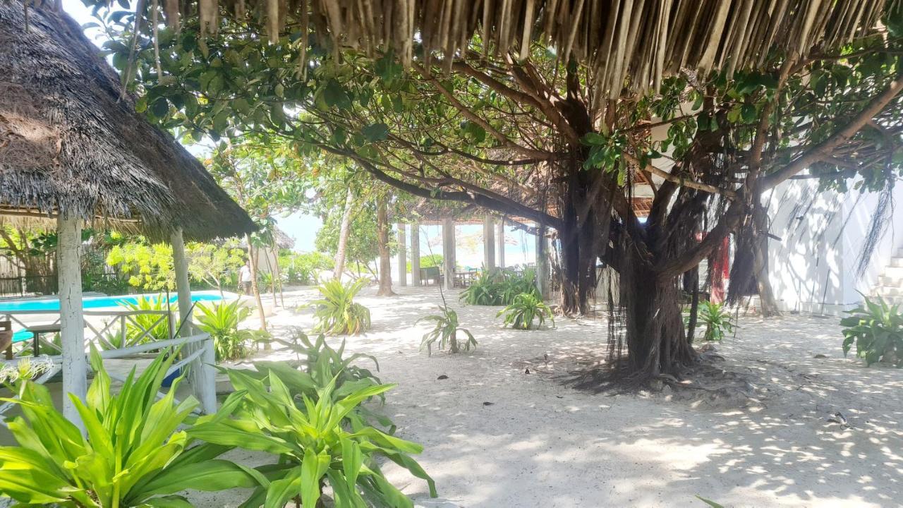 Garden Jambiani Jambiani (Zanzibar)