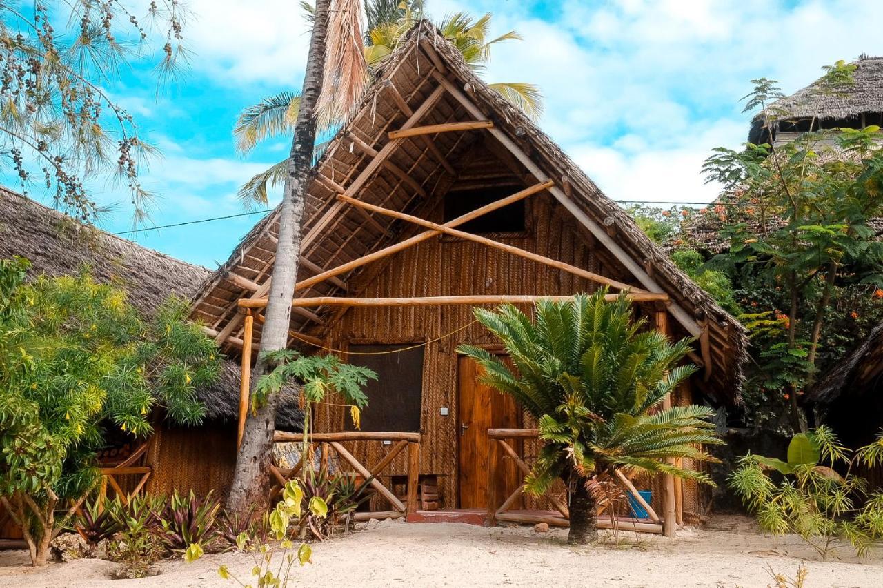 New Jambo Hostel