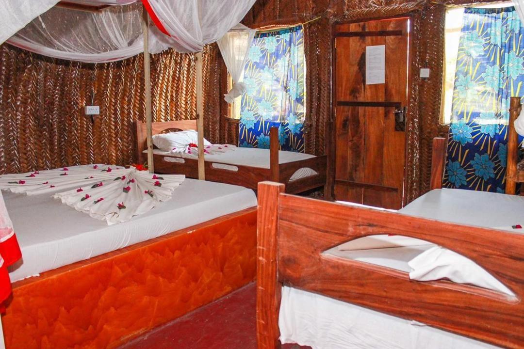 Hostel New Jambo