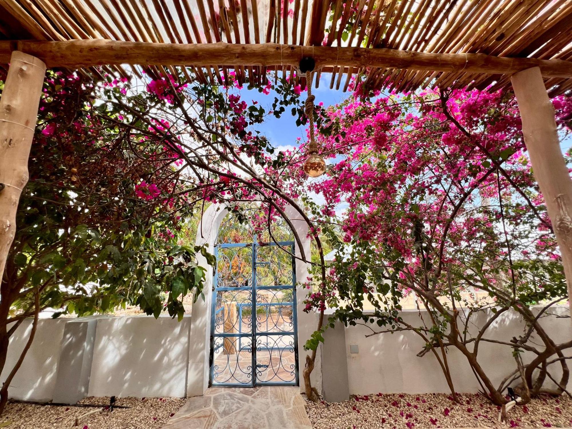 Barabara House Jambiani (Zanzibar)