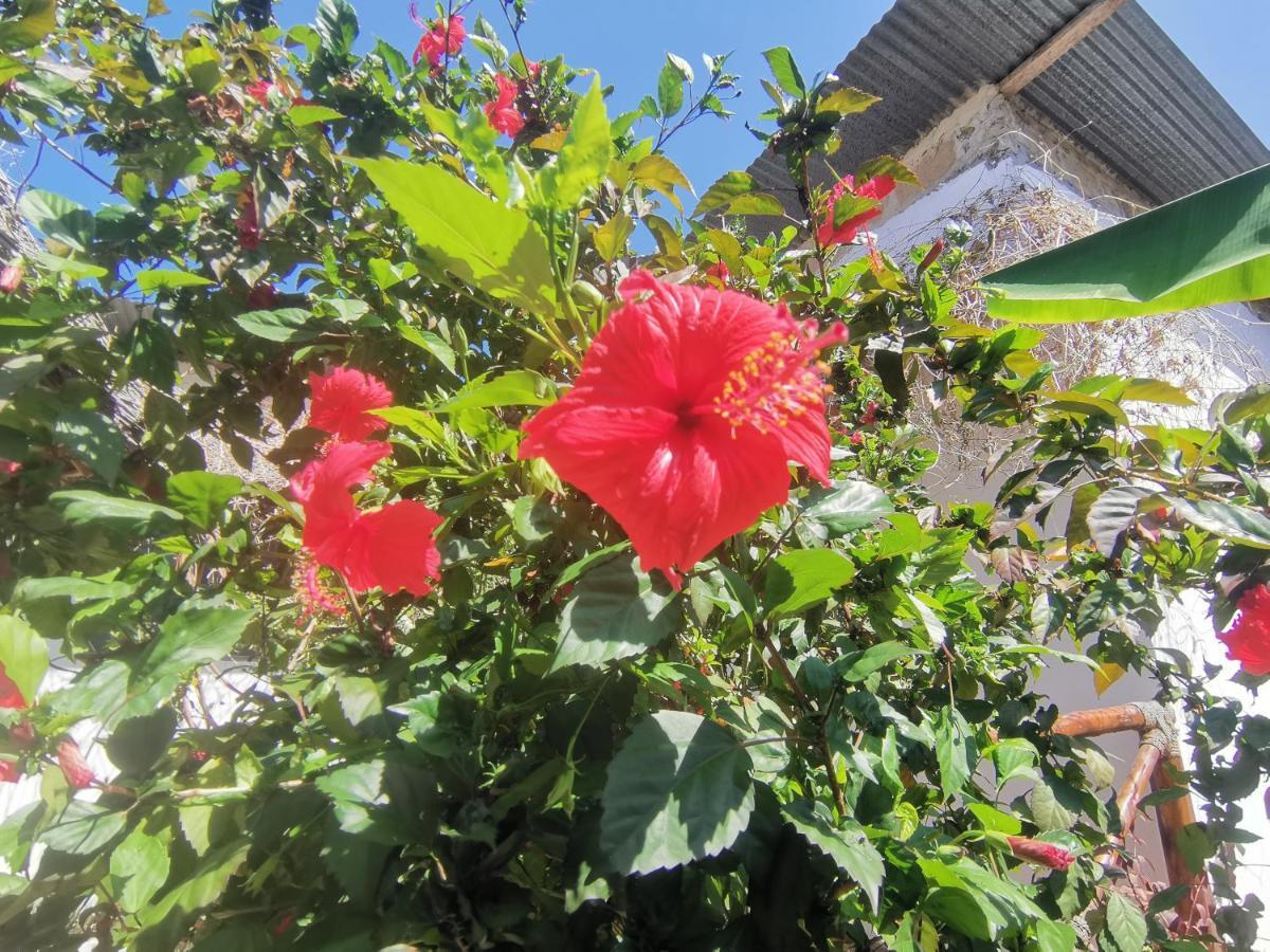 Savi House Bed & Breakfast Nungwi