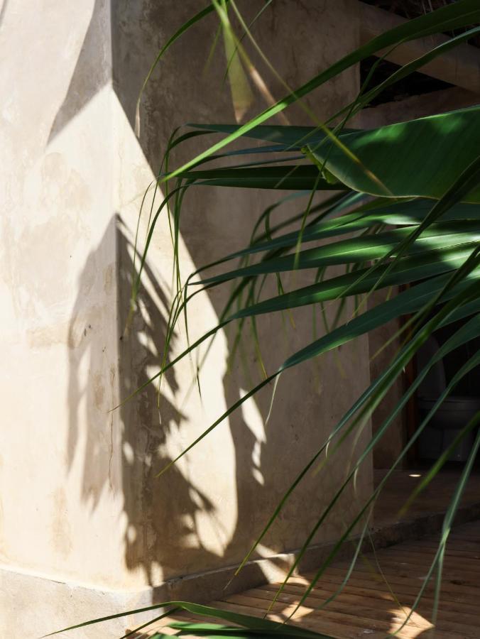 Bed & Breakfast Dar Mar & Coworking Paje
