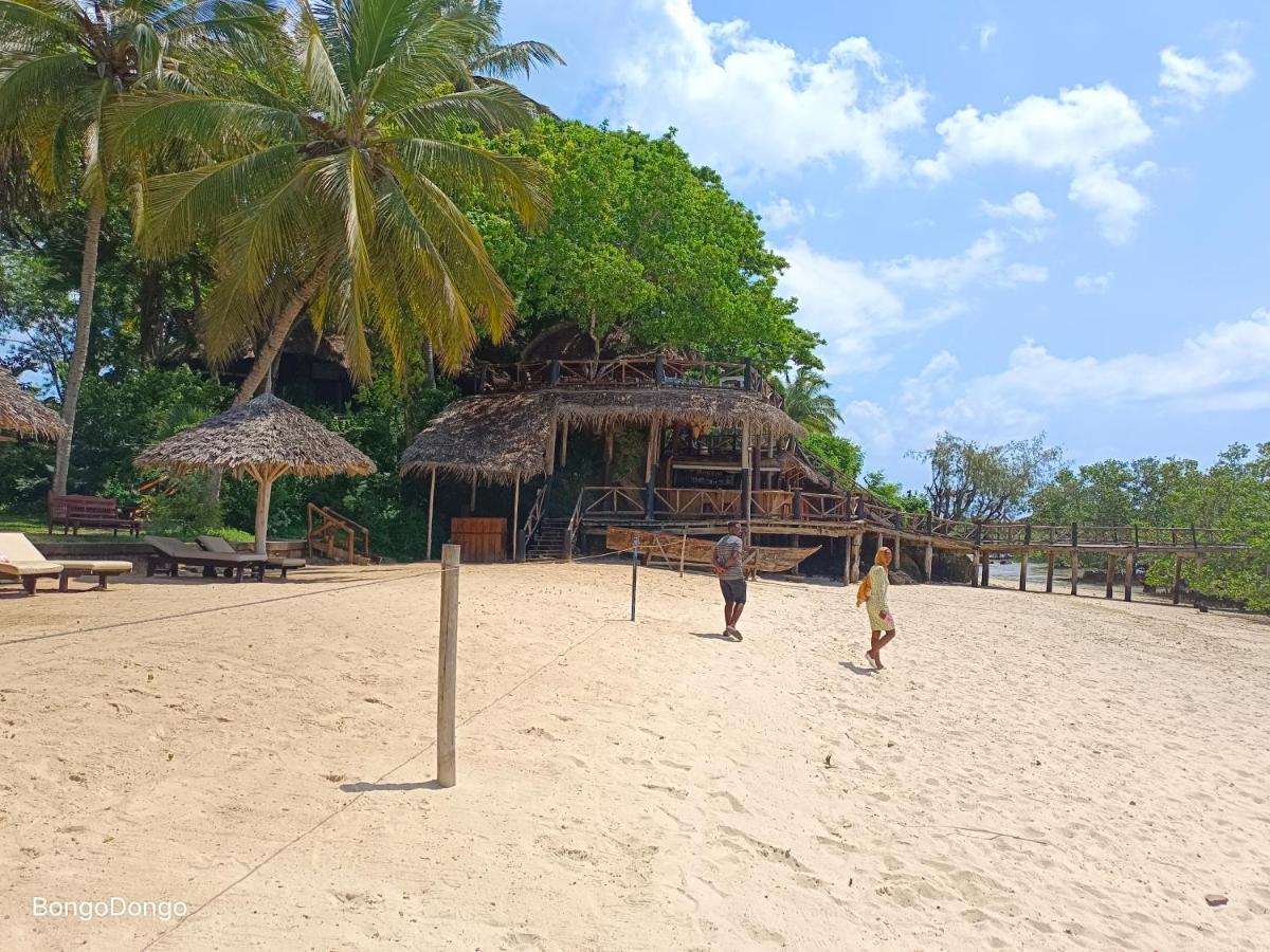 Dongobongo Homestay Zanzibar
