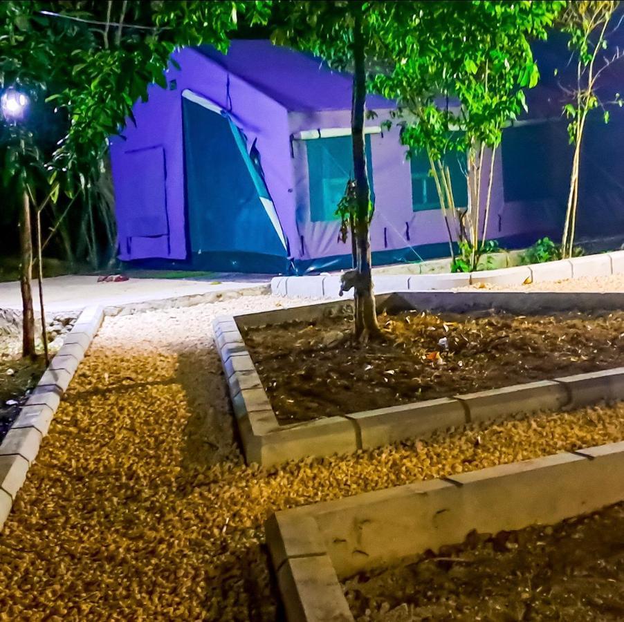 Accommodatie bij particulieren Biosphere Village Jozani