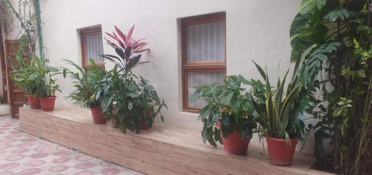 A Cozy 2 Bedroom In Stone Town Sansibar
