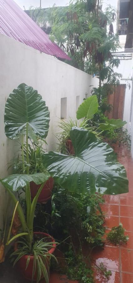 A Cozy 2 Bedroom In Stone Town Apartment