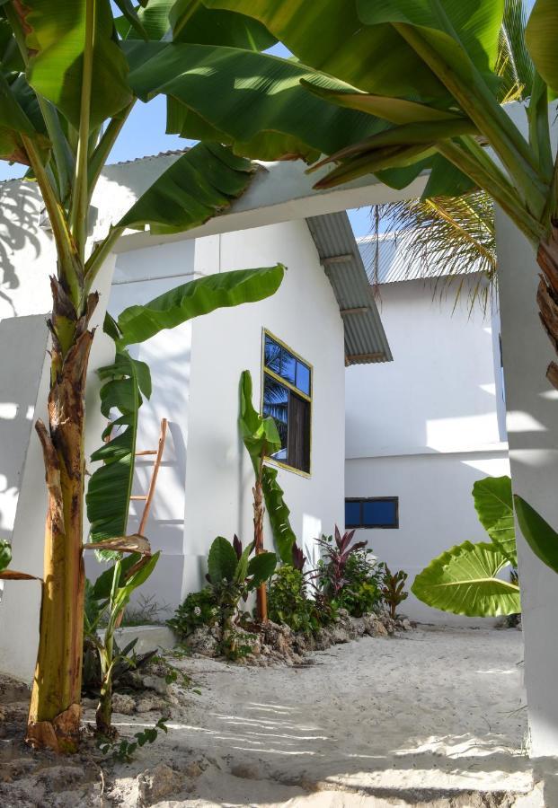 Dar Mar & Coworking Paje