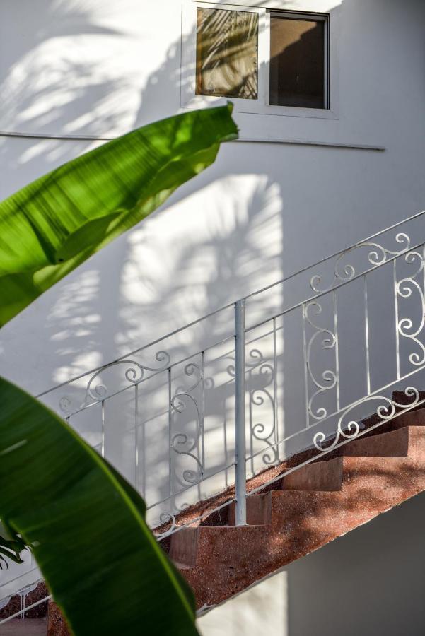 Dar Mar Hostel&coworking *
