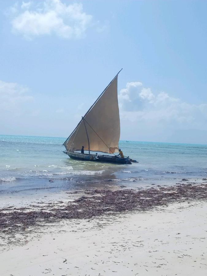 Majenzi