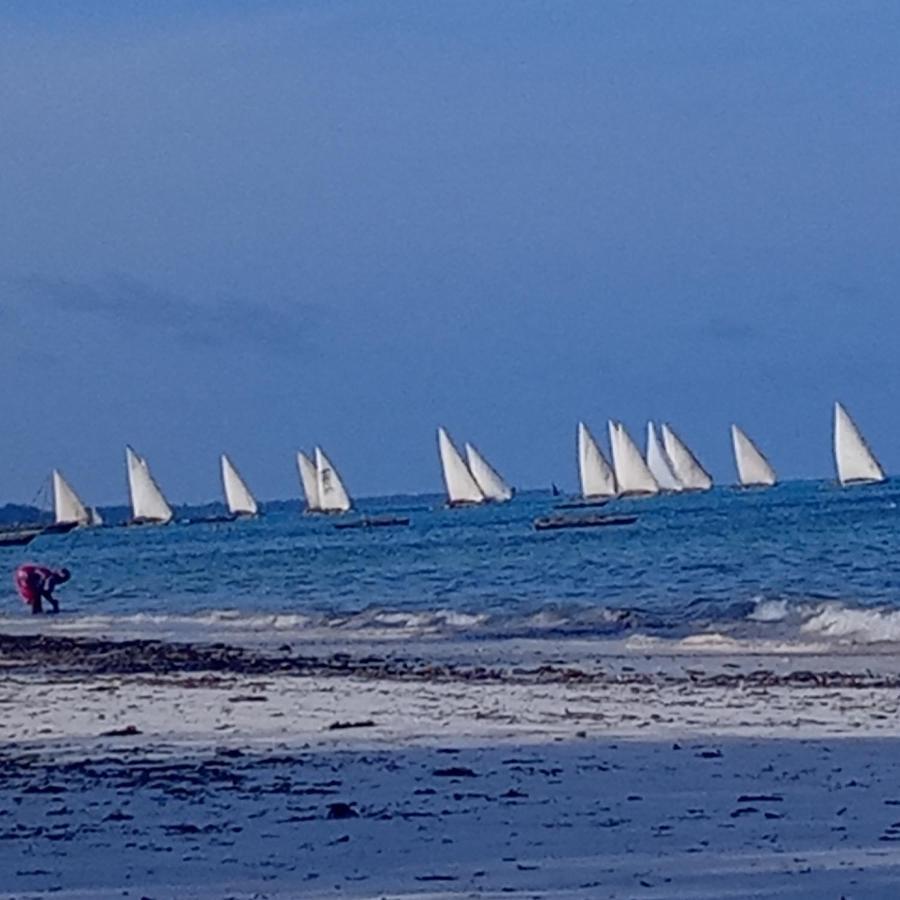Vakantiehuis Majenzi Jambiani (Zanzibar)