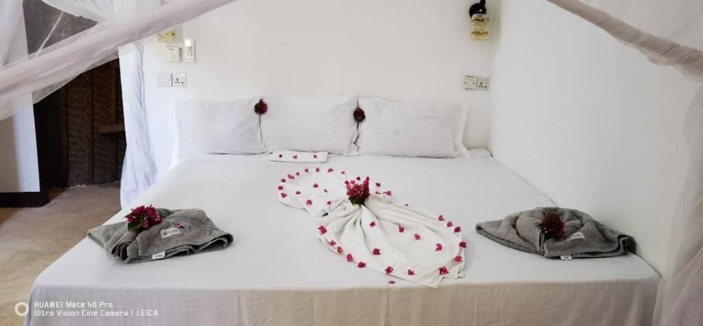 Wow House Guest house *
