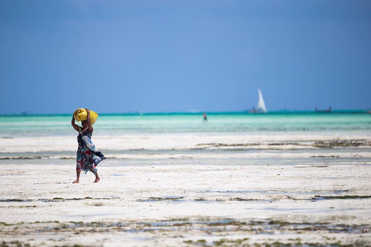 Mahi Mahi Hotel