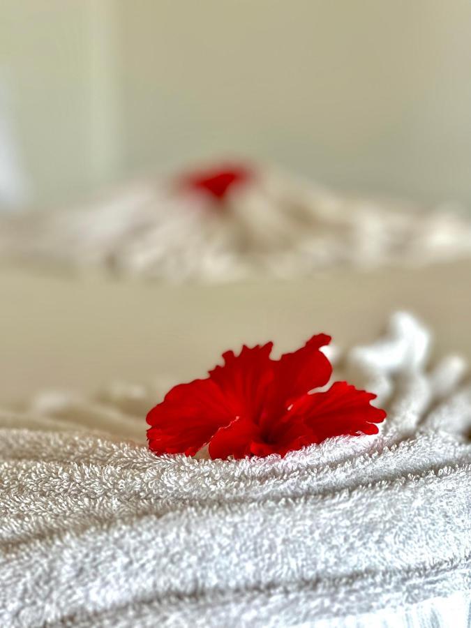 Resort Jambiani White Sands 3*