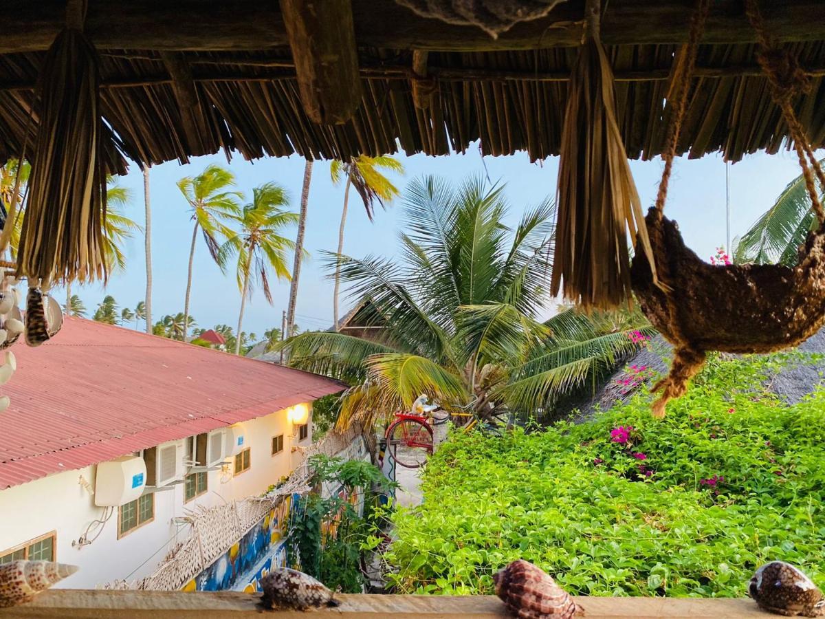 Kasuku * Jambiani (Zanzibar)