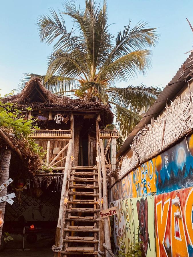 Kasuku Jambiani (Zanzibar)