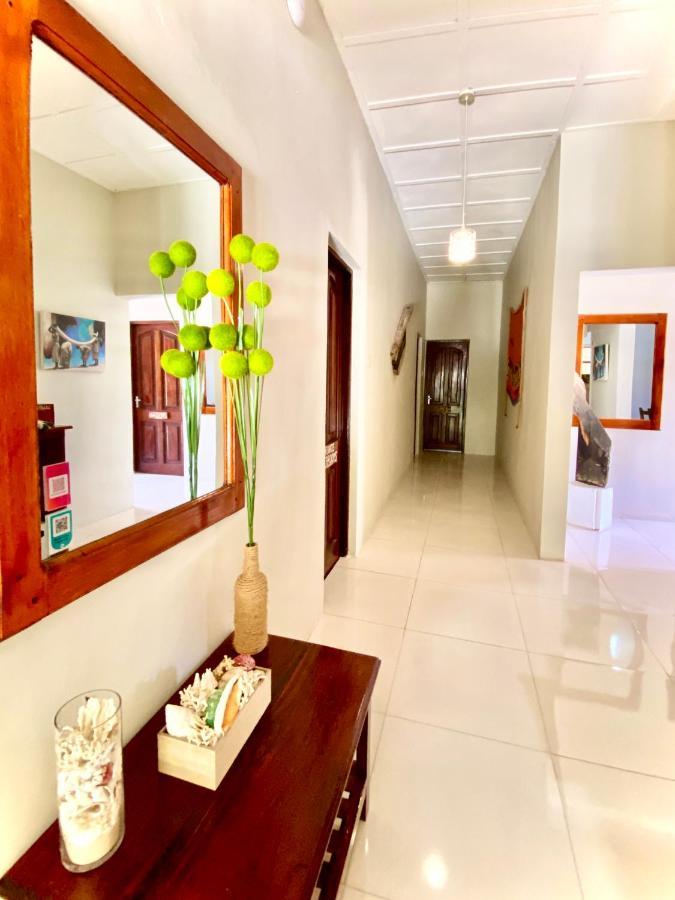 Orchid Guest house *