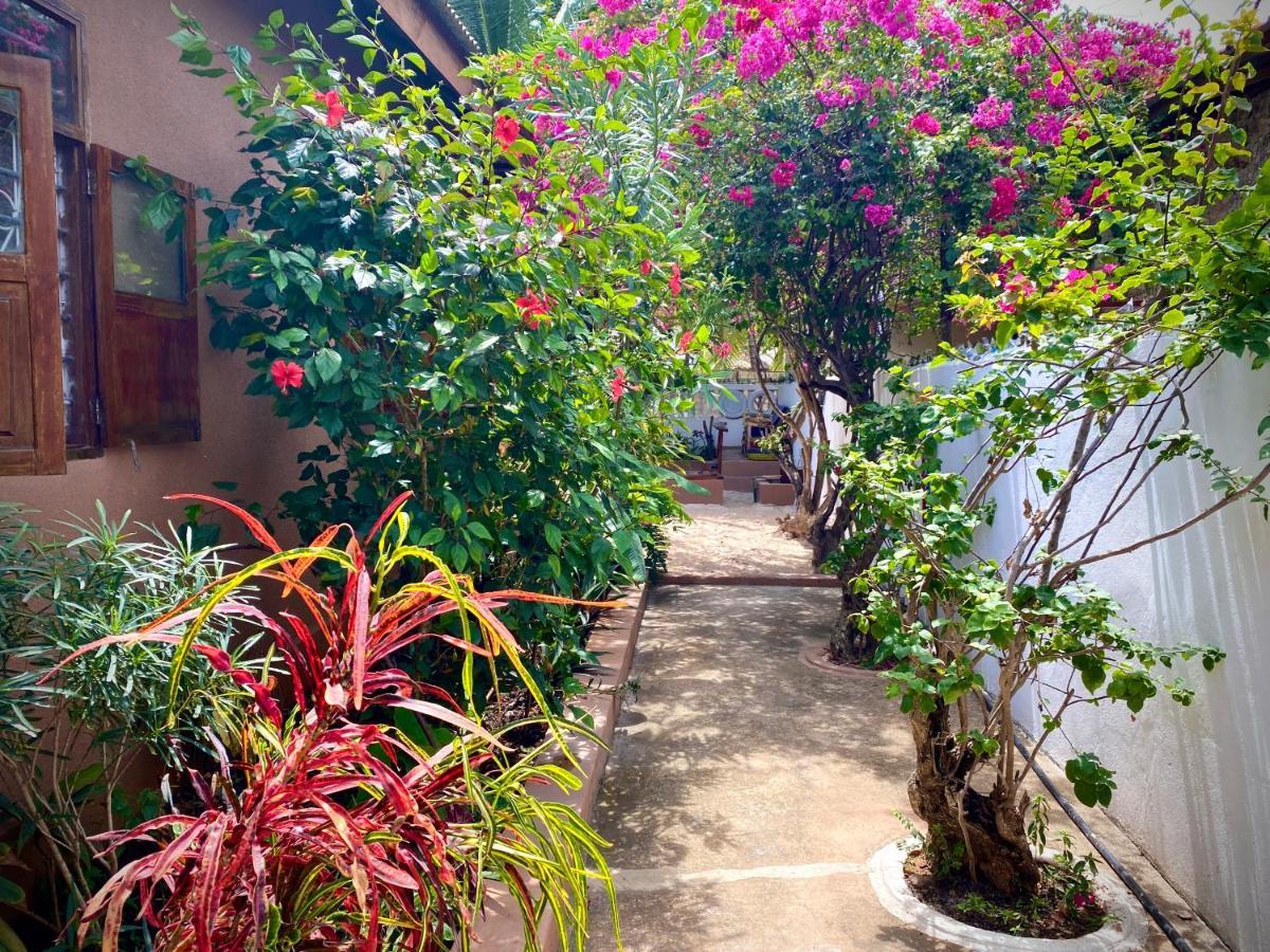 Orchid Guest house