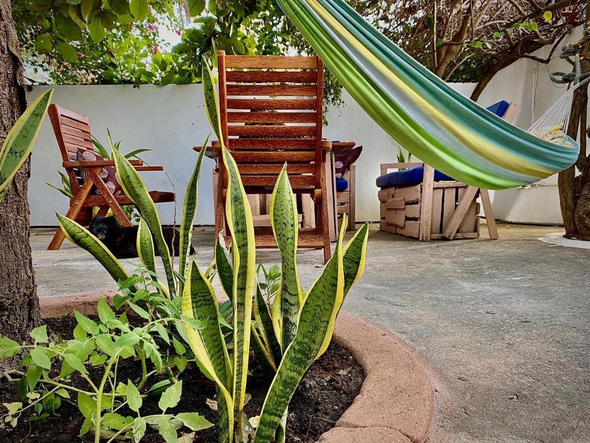 Orchid Guest house *