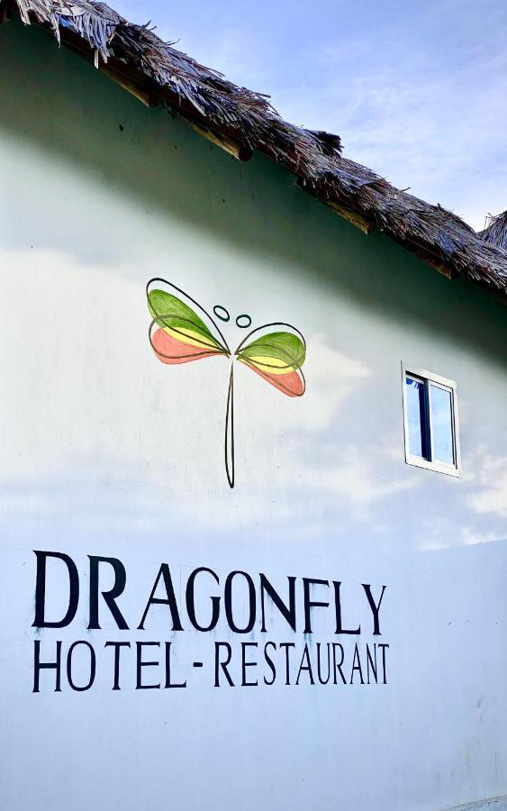 Dragonfly 3*