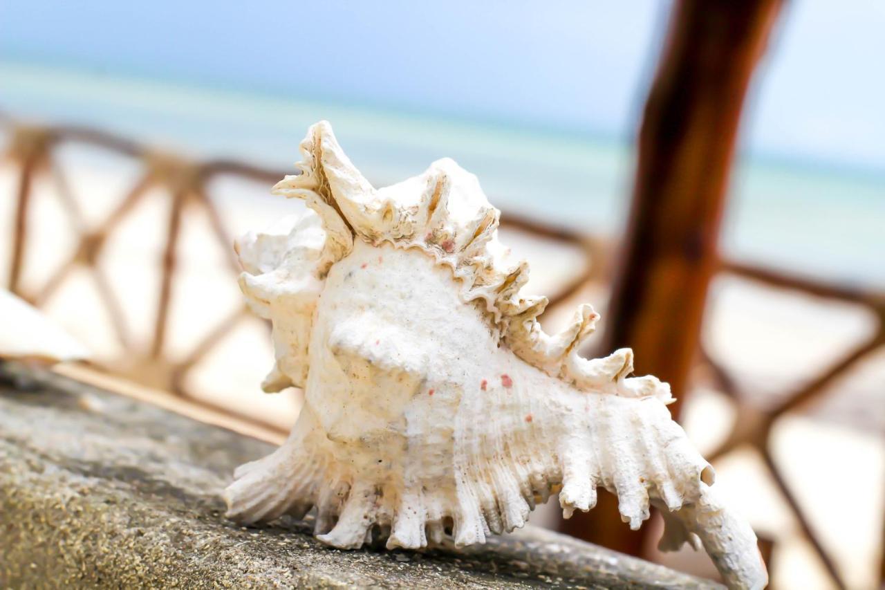 Villa Sunshine House Zanzibar Jambiani (Zanzibar)