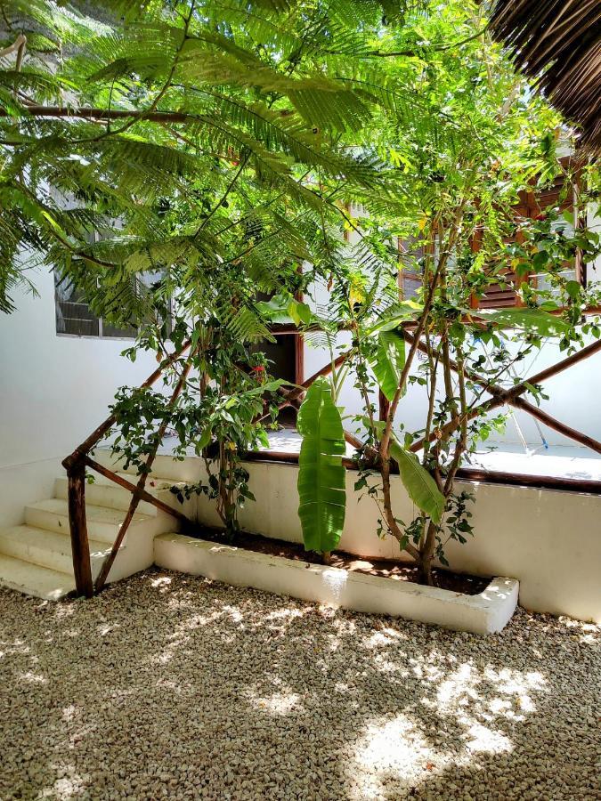Savi House Bed & Breakfast