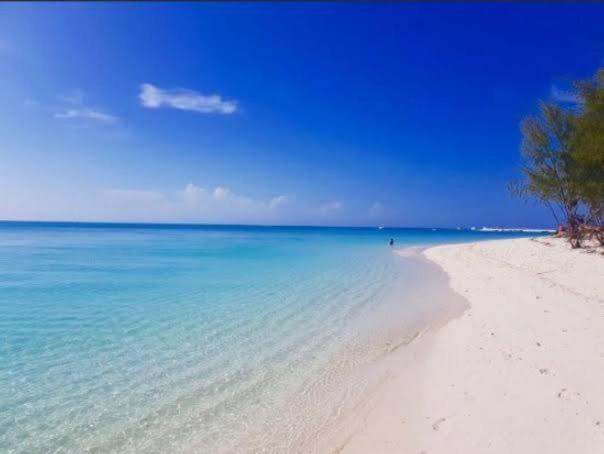 Guest house Zanzibar Rabbit Houses By Swahili Smile Luxury *