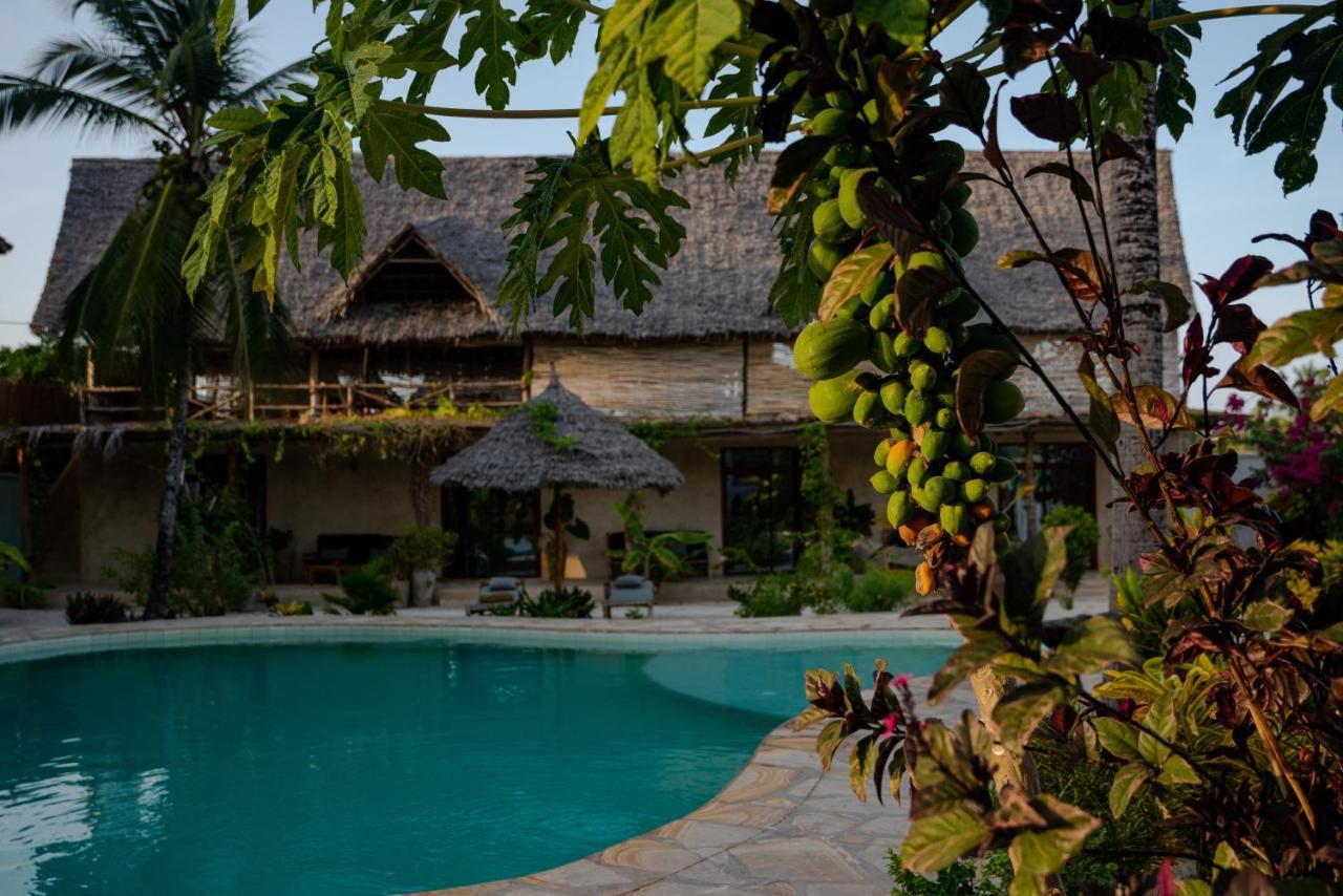 The Garden * Paje