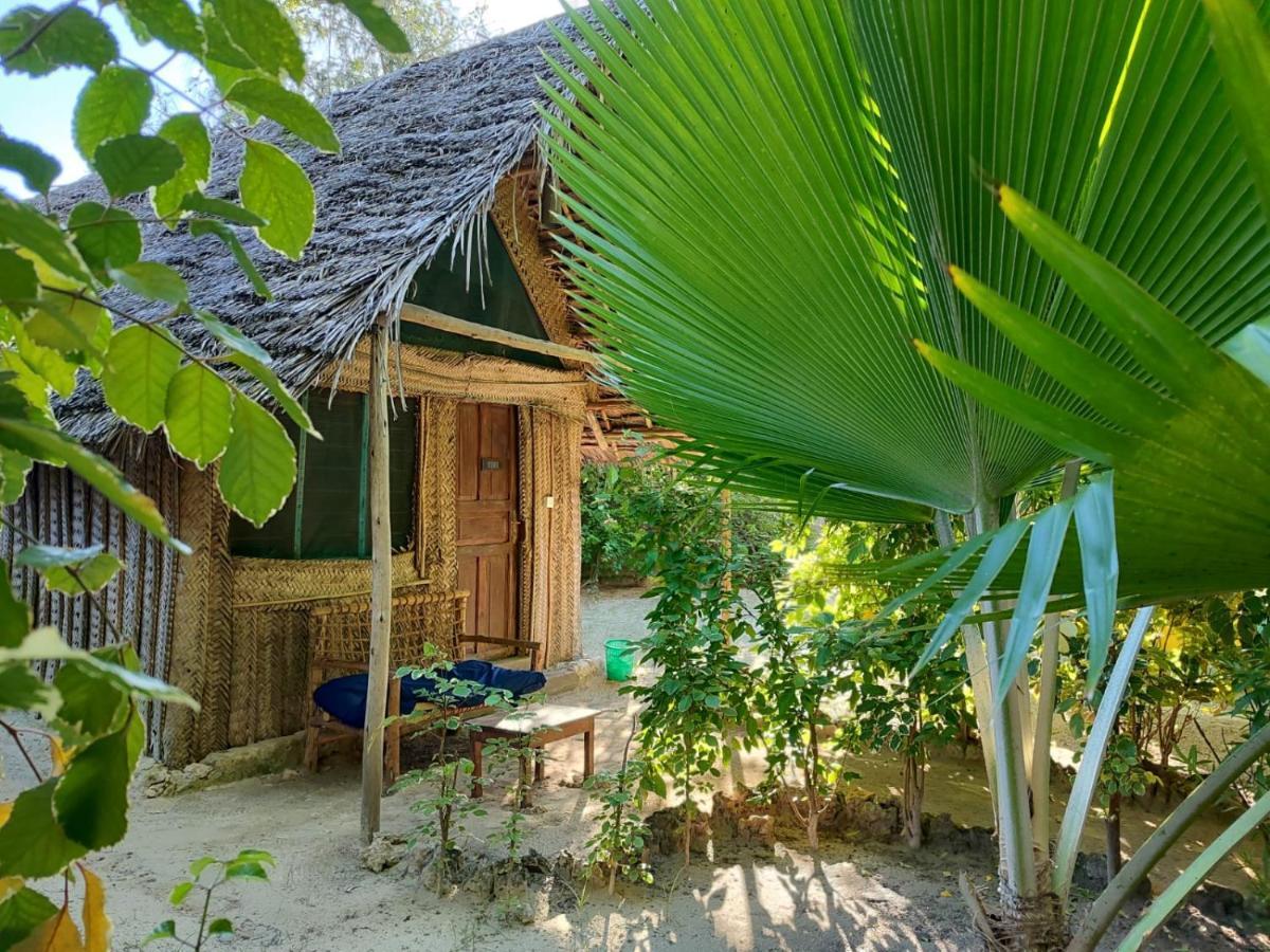 Hostel Your Zanzibar Place *