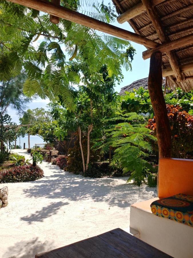 Afya Village At The Sea Lodge Michamvi Kae