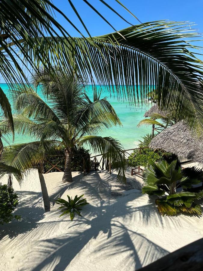 Bed & Breakfast Natural Garden Boutique Jambiani (Zanzibar)